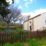 Foto CHiesa Santa Maria 9